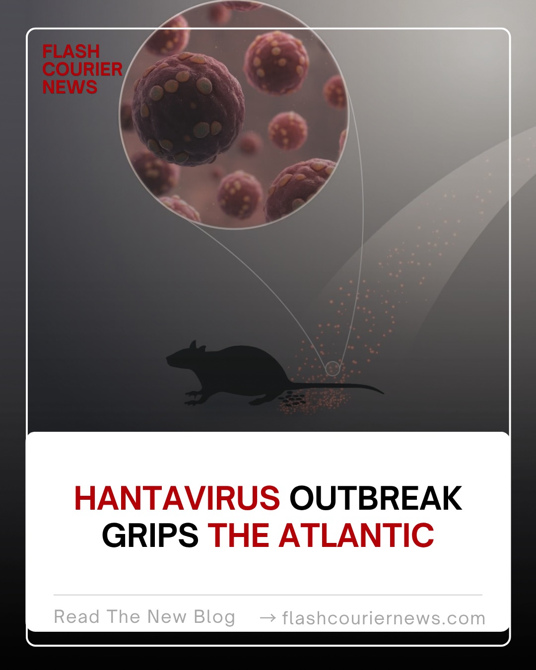 Hantavirus Outbreak Grips the Atlantic