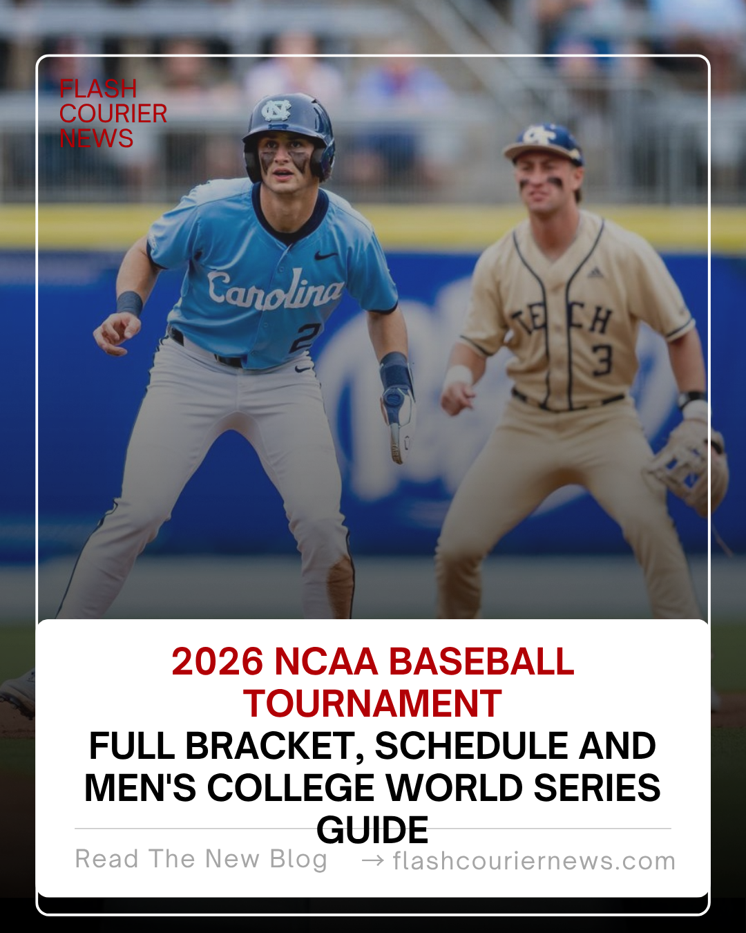 The 2026 NCAA baseball